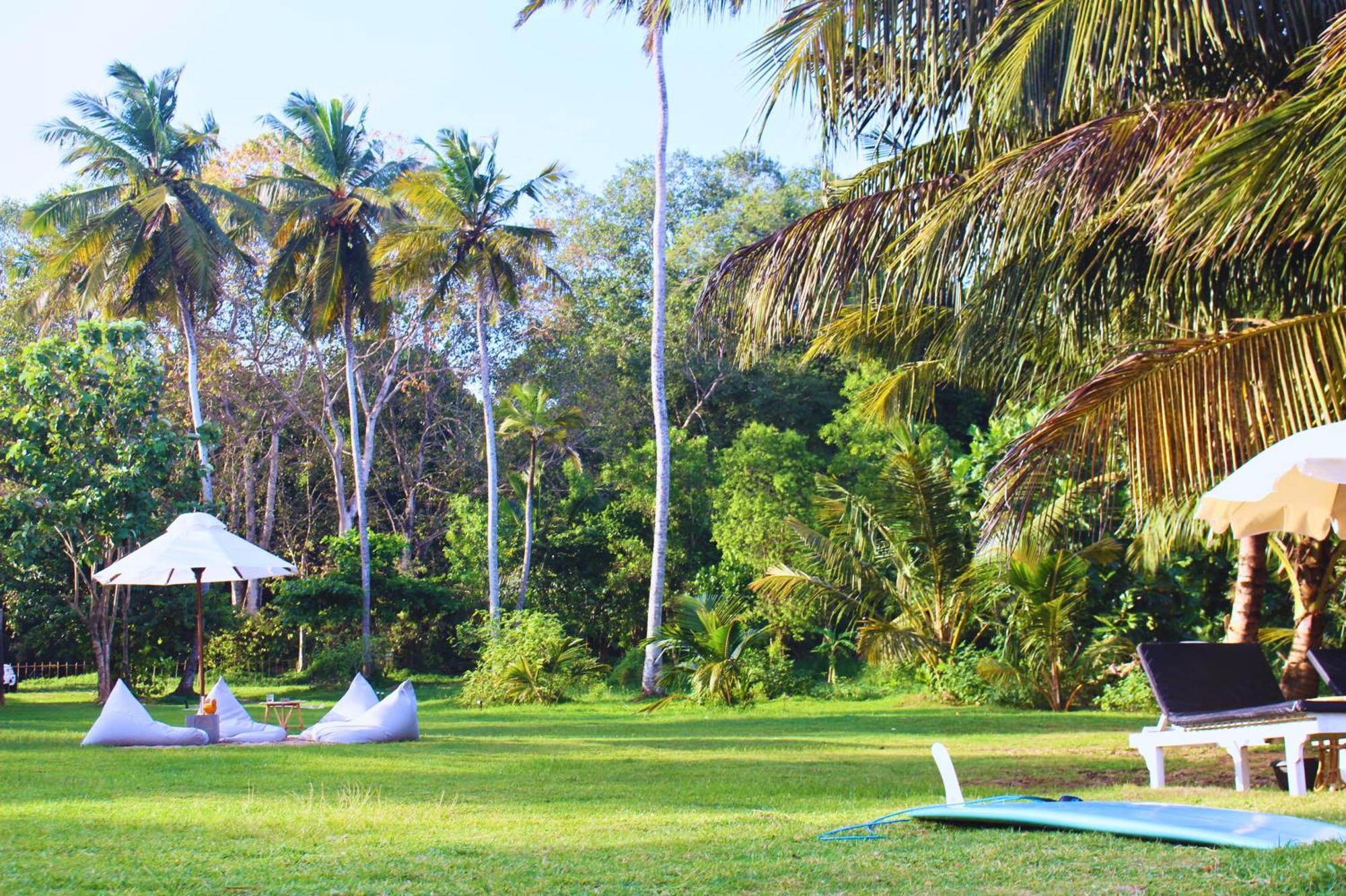 Calma - Surf, Yoga & Coffee On A Private Beach Dikwella Εξωτερικό φωτογραφία
