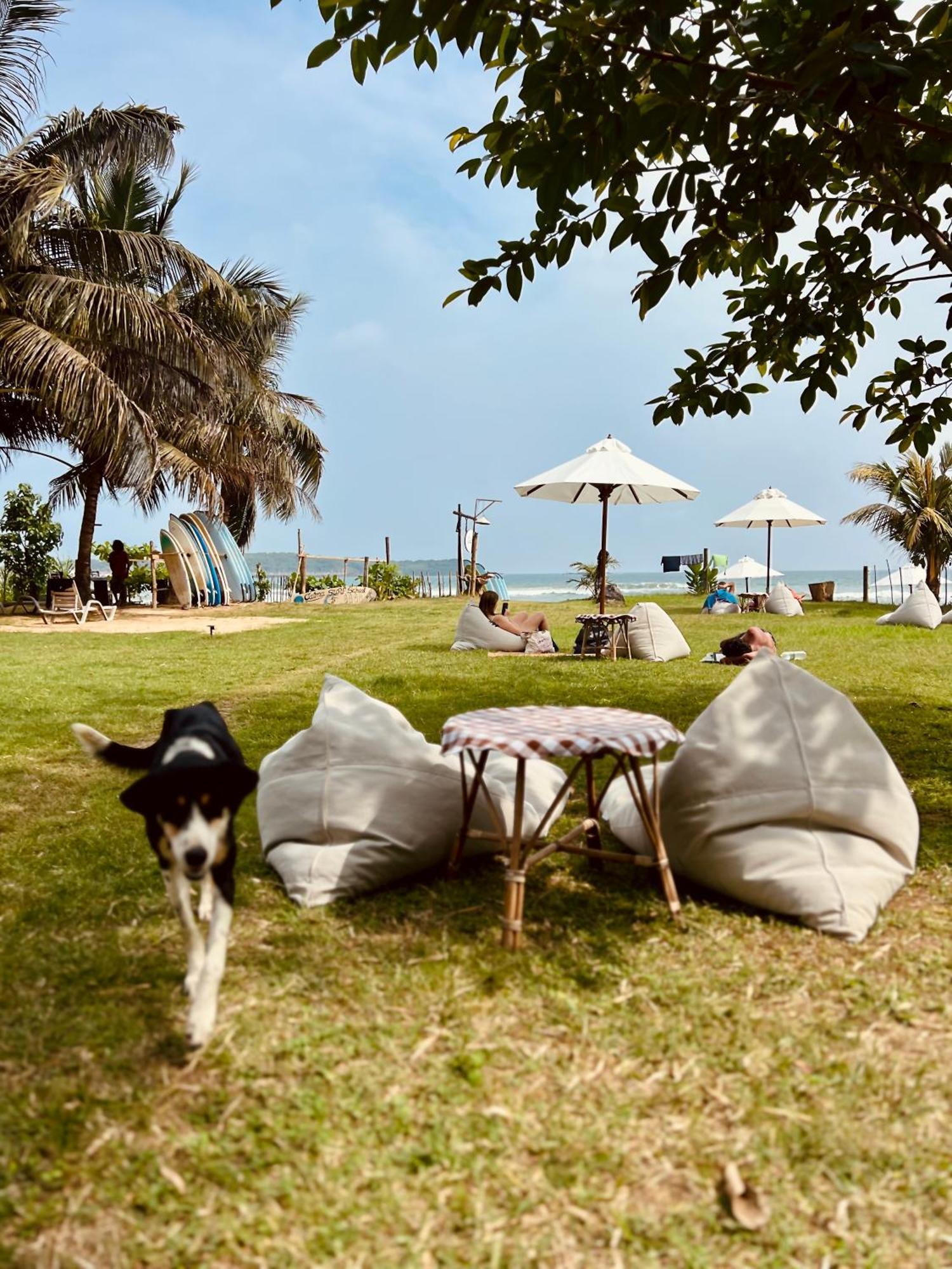 Calma - Surf, Yoga & Coffee On A Private Beach Dikwella Εξωτερικό φωτογραφία